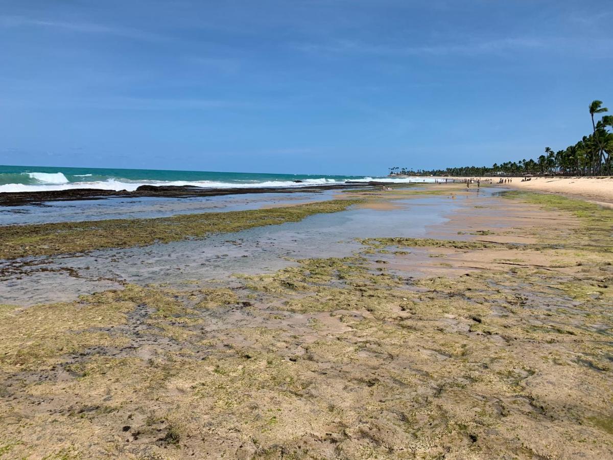 Flat Beach Class Muro Alto Porto de Galinhas Exterior foto